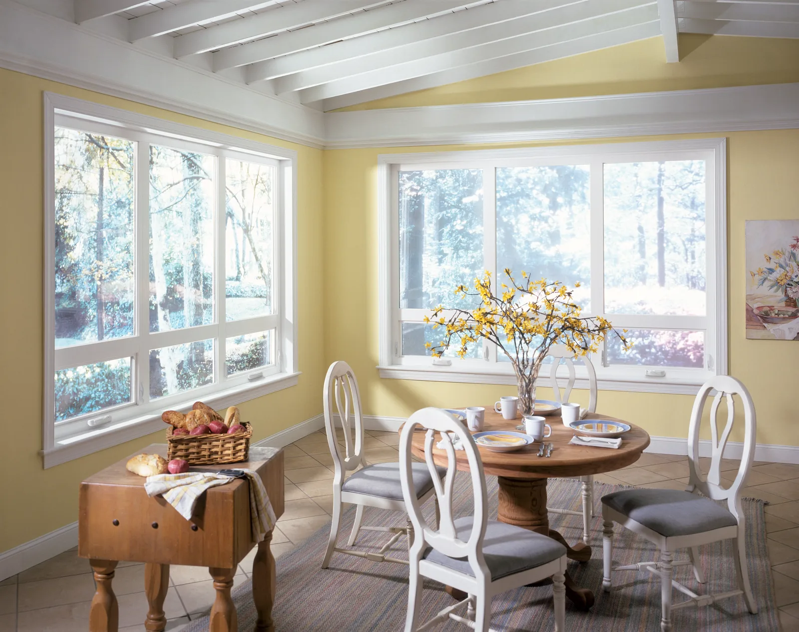 Alpine Montrose awning windows